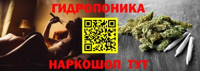мдма Можга