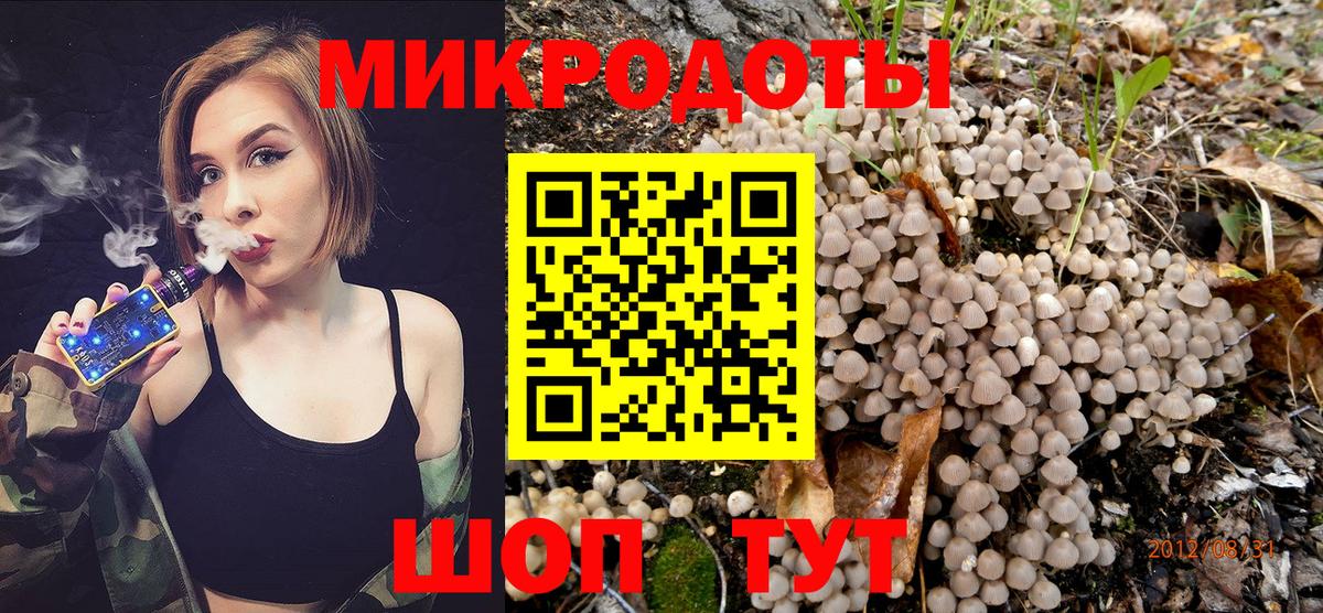 Галлюциногенные грибы ЛСД Чернушка