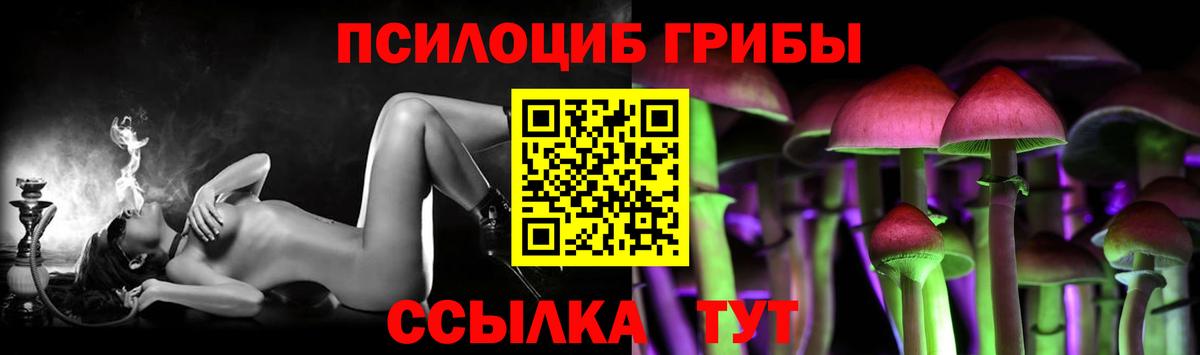 Чернушка  Галлюциногенные грибы прущие грибы  Вход с VPN 